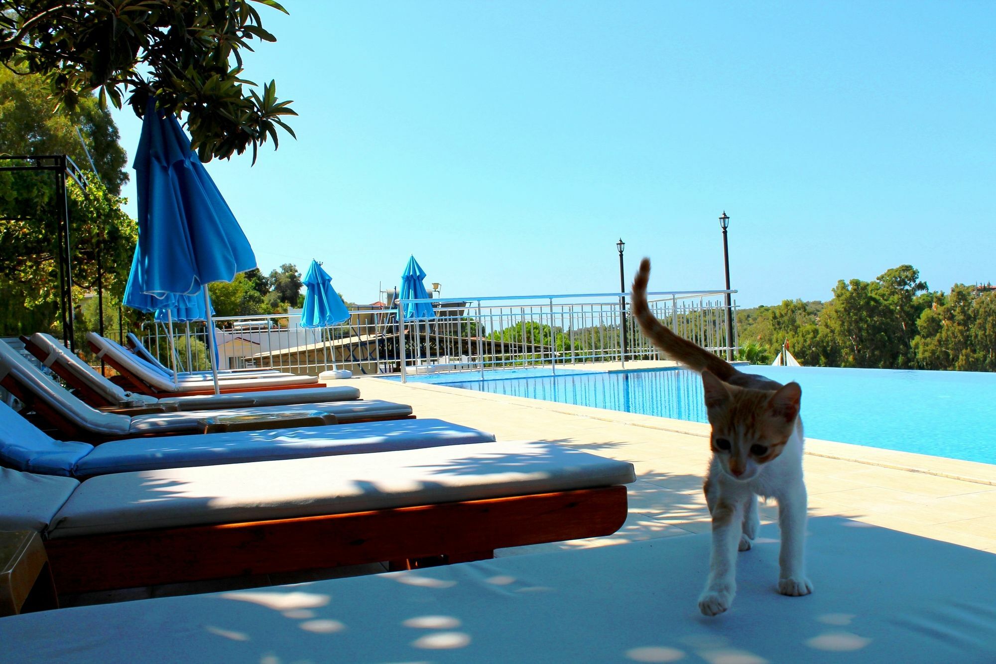 Hotel Patara Sun Club Εξωτερικό φωτογραφία